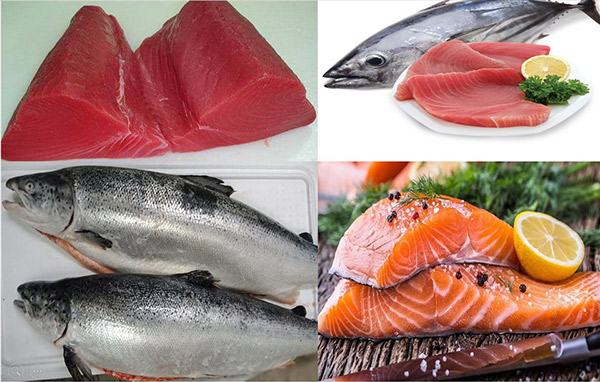 Ăn cá tốt cho viêm khớp? Nên ăn loại cá nào tốt nhất?